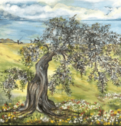 Zeytin Ağacı 25X25cm Tüab - Ceyda Çoksezen